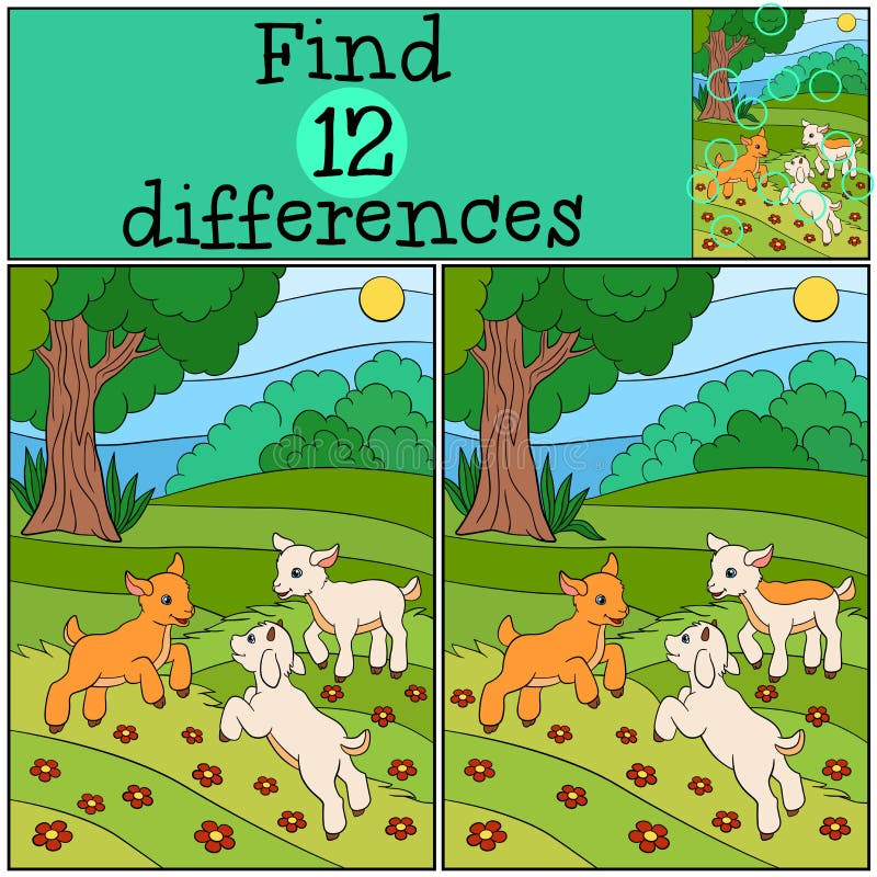 Children games: Find differences. Three little cute baby goats play on the field. Children games: Find differences. Three little cute baby goats play on the field.