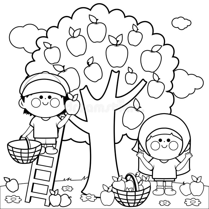 Children picking apples. Vector black and white coloring page.