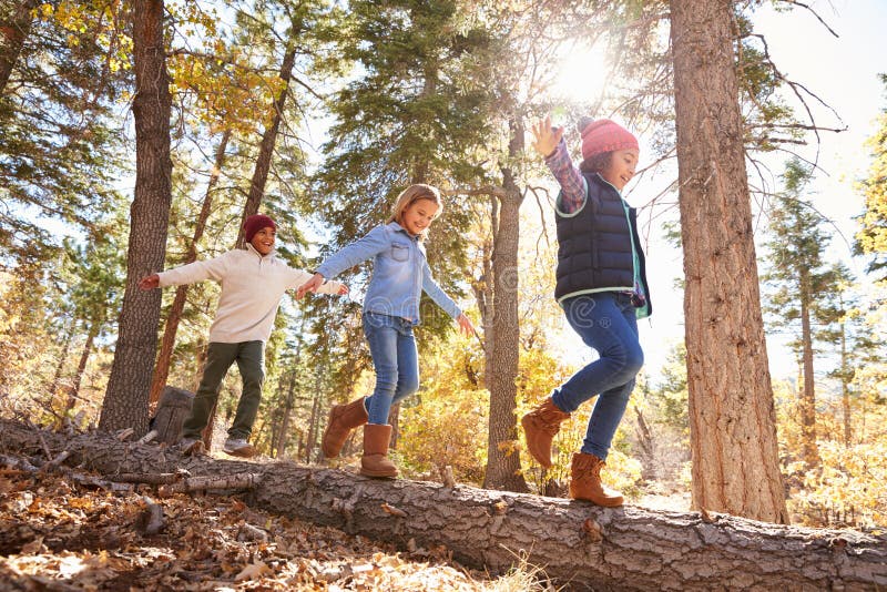 Children Having Fun And Balancing On Tree In Fall Woodland royalty free stock photography Children Having Fun And Balancing On Tree In Fall Woodland royalty free stock photography