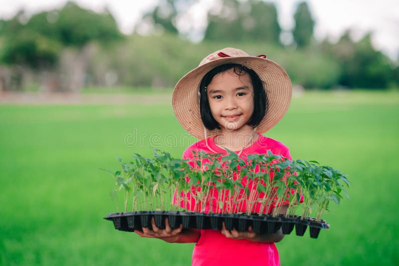 Children hold seeding of chilli or pepper vegetable to planting in organic garden in rural