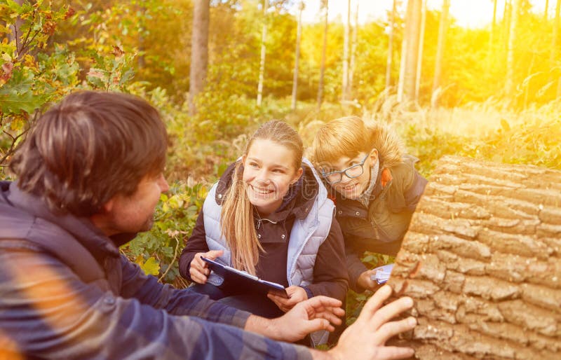Children learn tree identification in the forest at Förster royalty free stock image