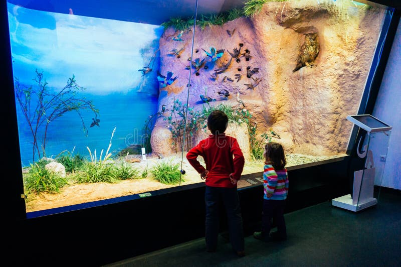 Children in Natural History Museum Editorial Stock Photo Image of