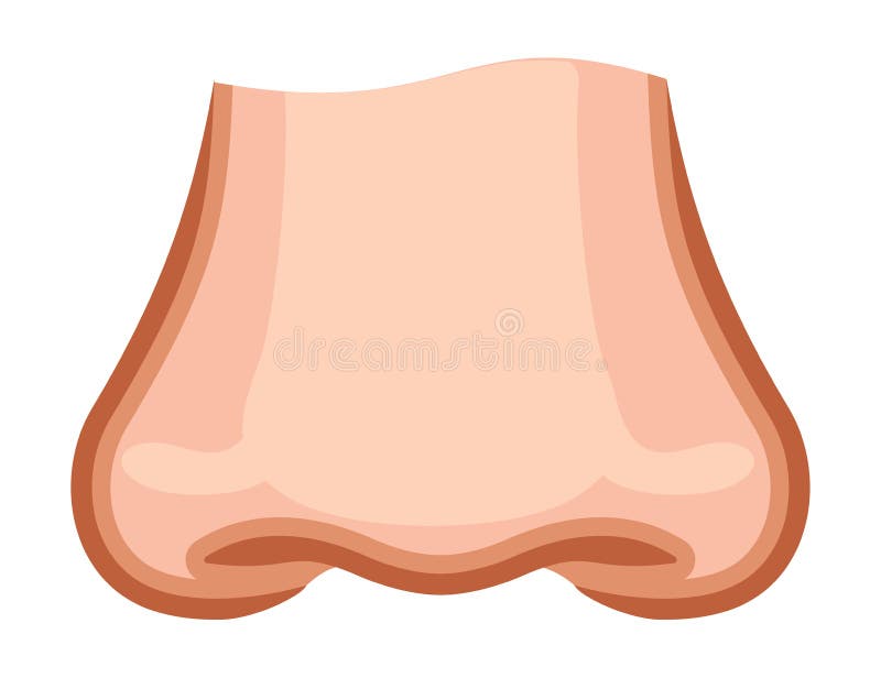 Children nose stock illustration