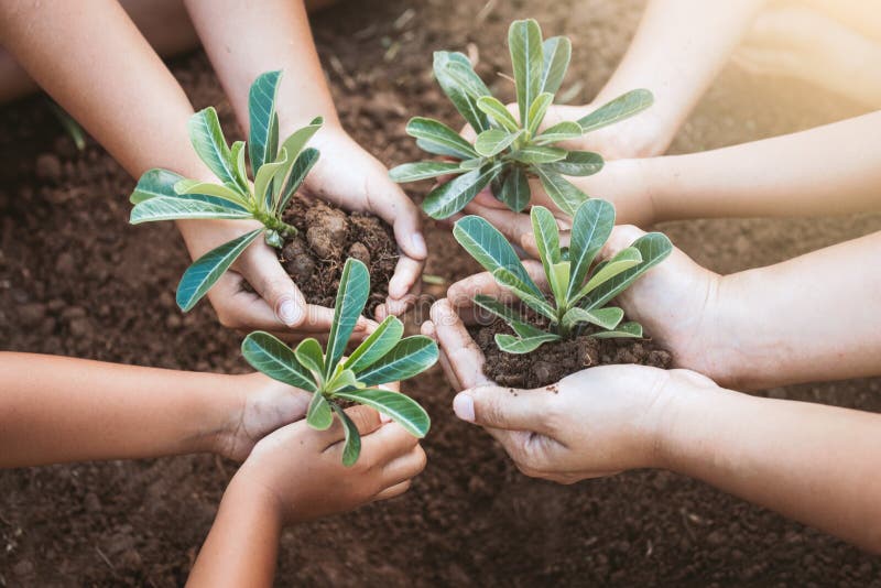 Children and parent holding young tree in hands for planting