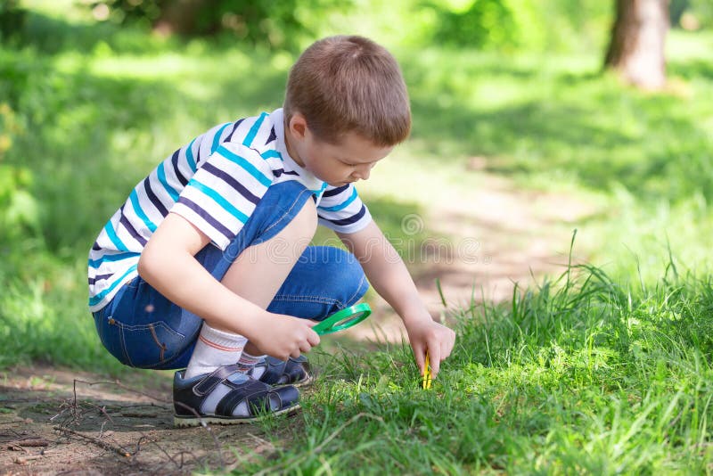 Children in the park on a walk collect flowers and explore nature, summer morning