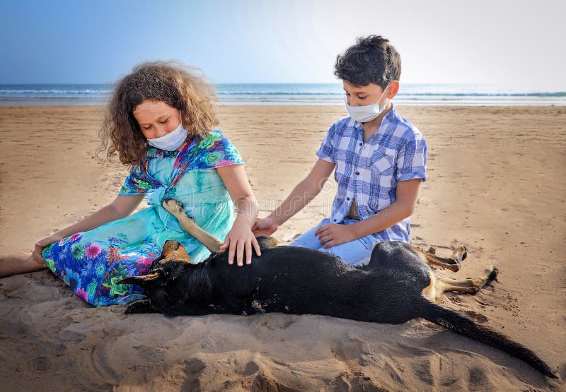 Giocare il cane sul Spiaggia protettivo.