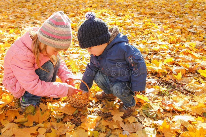 Children Playing With Autumn Fallen Leaves In The Park Stock Image