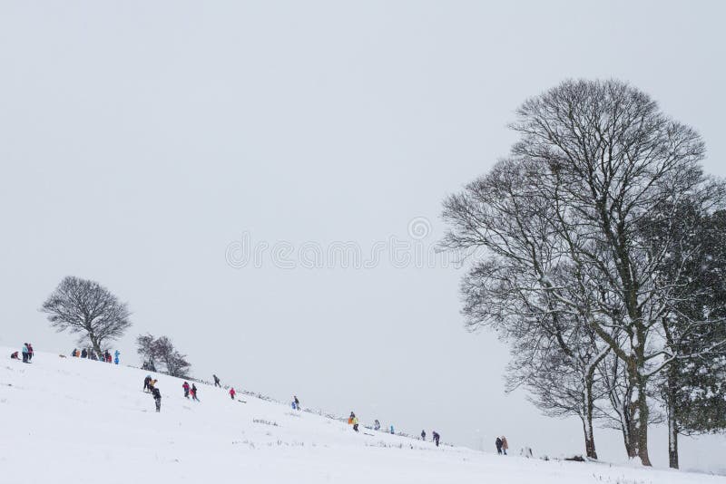 Children playing in the snow