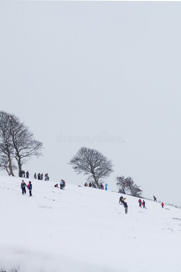 Children playing in the snow