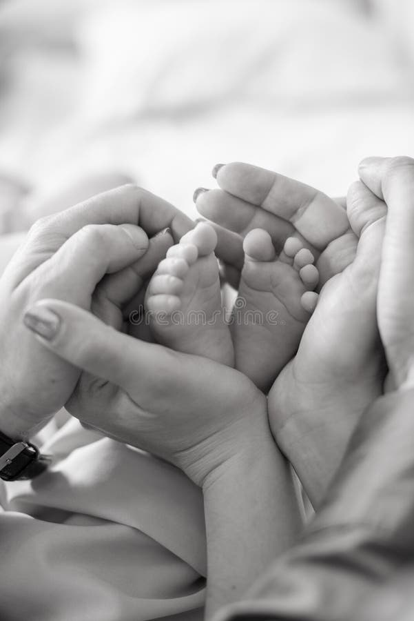 Children`s feet in hands of mother and father. Mother, father and Child. Happy Family concept royalty free stock image Children`s feet in hands of mother and father. Mother, father and Child. Happy Family concept royalty free stock image