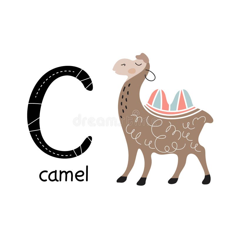 Children S Font. Letter C. Cute Cartoon Camel. Vector Illustration