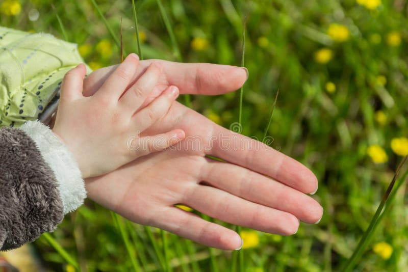 Handshake contrast stock image. Image of kindness, life - 34789129
