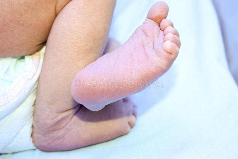 Children`s legs. newborn baby. little
