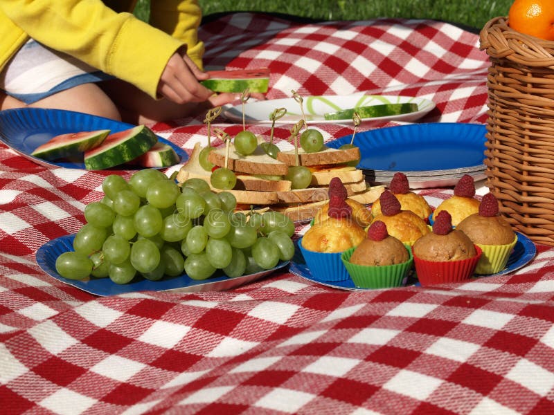 Children s picnic stock image. Image of lunch, exterior 25942697