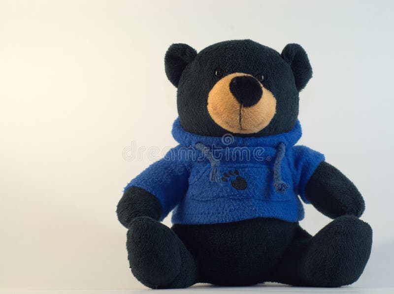 black teddy bear pics