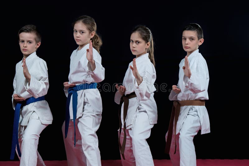 Group Kids Karate Martial Arts Stock Image Image of jujitsu, boys