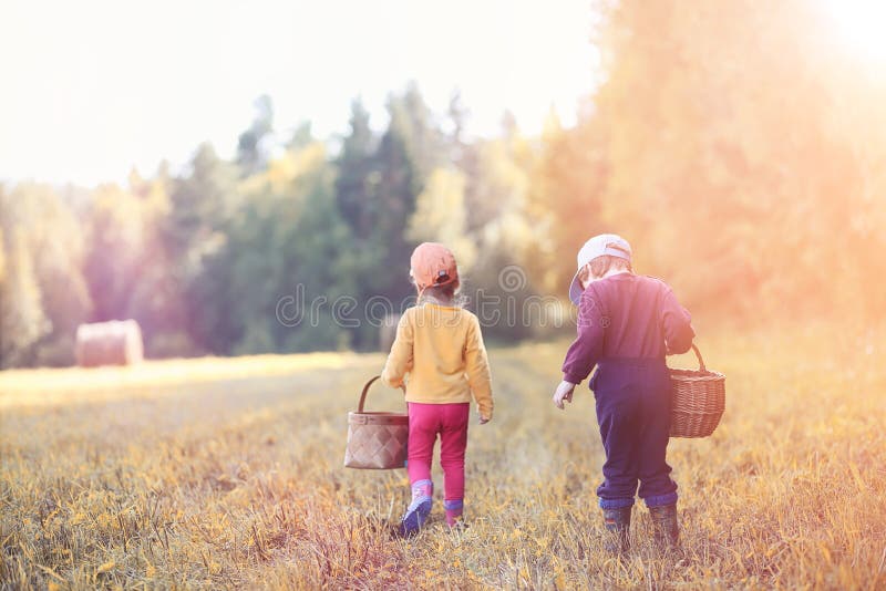 Children in the village walk through the autumn forest and gathe stock image Children in the village walk through the autumn forest and gathe stock image