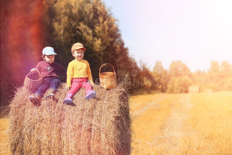 Children in the village walk through the autumn forest and gathe stock photos Children in the village walk through the autumn forest and gathe stock photos