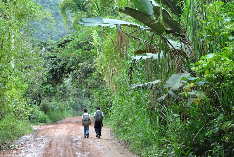 Children Walking Through the Jungle In Ecuador