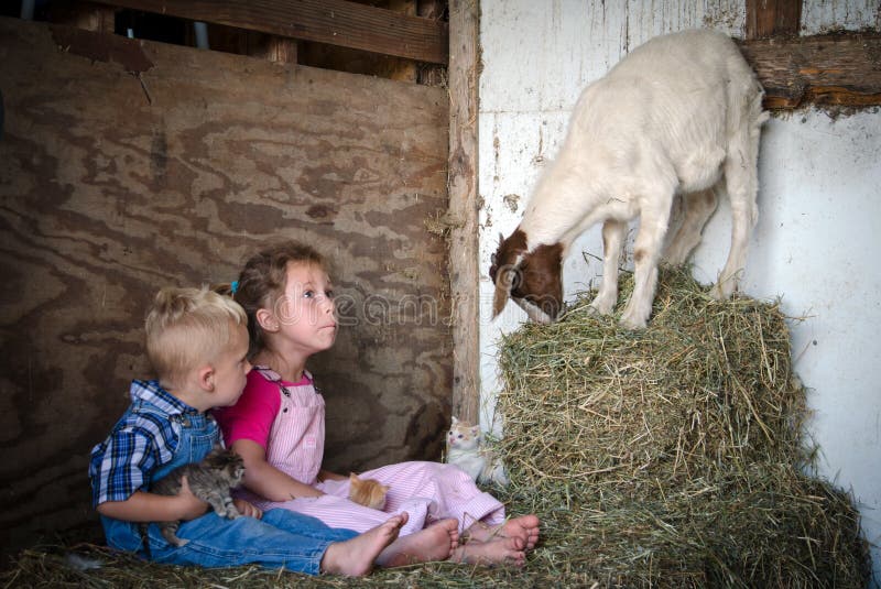 Due adorabili bambini sono sorpreso, come un attivo di capretto foto bombe la loro sessione di foto con i cuccioli.