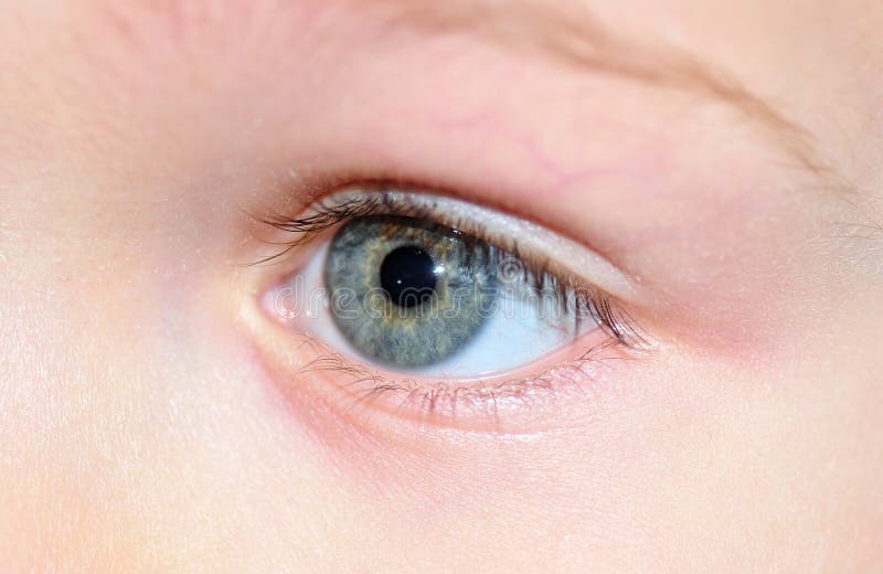 Childs eye. stock photo. Image of beautiful, ophthalmology 24421532