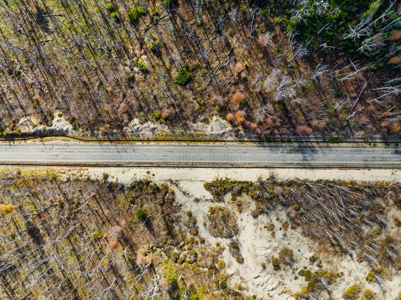 Chile-Argentina Border Route in Autumn Stock Image - Image of wildlife ...