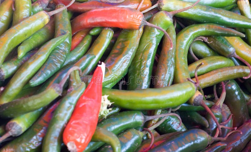 Chile peppers