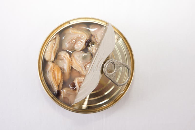 164 Opened Clams Stock Photos Free & RoyaltyFree Stock Photos from