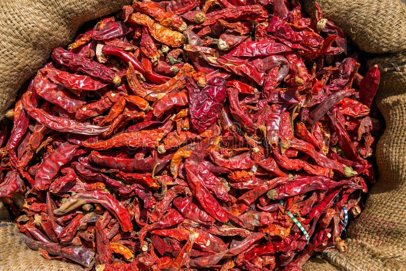 Chiles secos rojos en bolso de la lona fotos de archivo Chiles secos rojos en bolso de la lona fotos de archivo