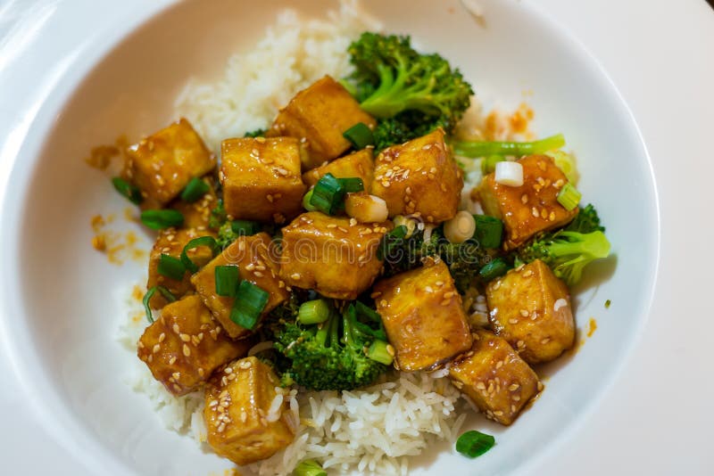 Chili Honey Tofu with Rice and Broccoli Stock Photo Image of healthy