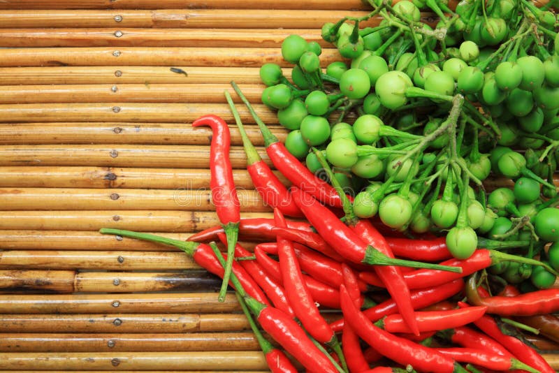 Chili koloru oberżyny zieleni solanum sw torvum obrazy stock