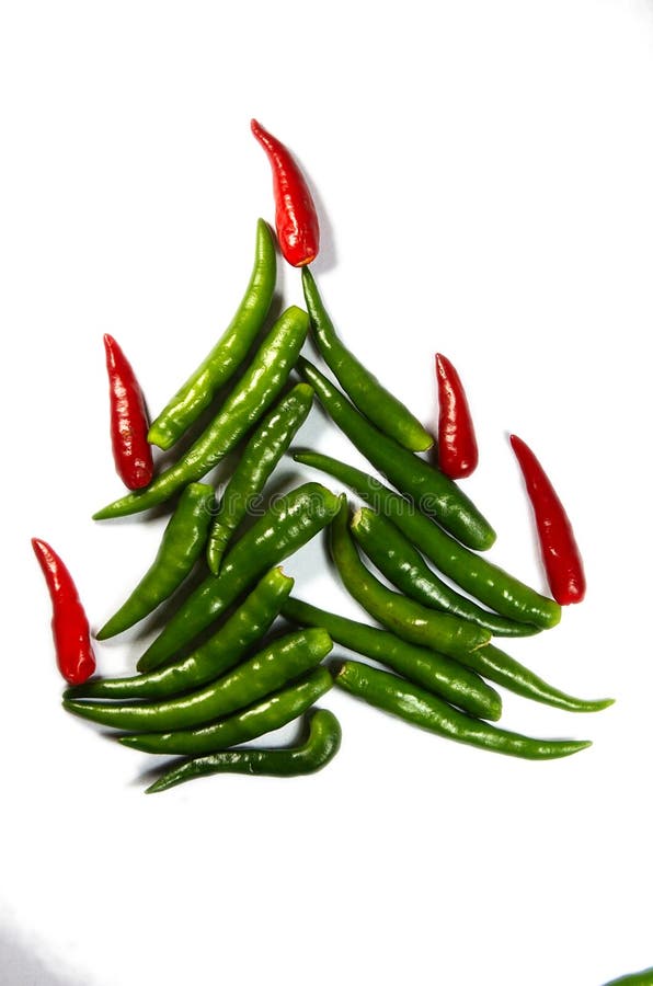 Chili New Year Tree stock photo. Image of heat, paprika 12019578