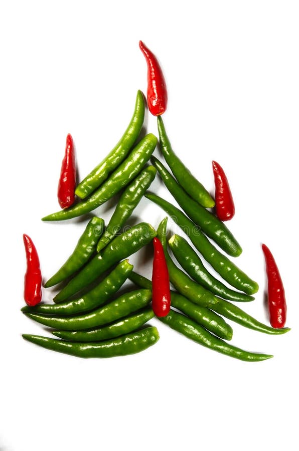 Chili New Year Tree stock image. Image of nature, isolated 12019585
