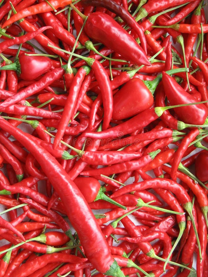 Chili pepper stock image. Image of ingredient, kitchen 2906747