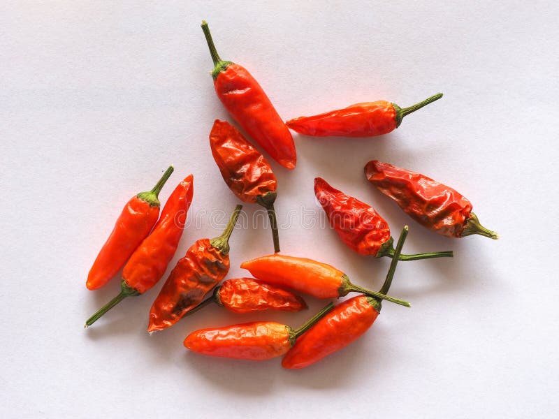 Chili Pepper Capsicum stock photo. Image of north, eating 248724288