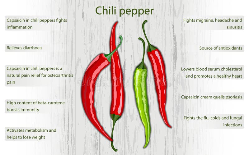 Green Hot Chili Pepper Nutrition Facts Stock Illustrations 7 Green green-hot-chili-pepper-nutrition-facts-stock-illustrations-7-green