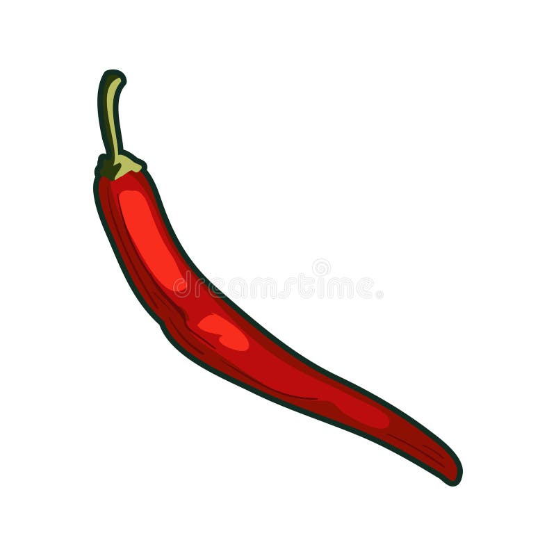 Chili pepper illustration stock vector. Illustration of isolated