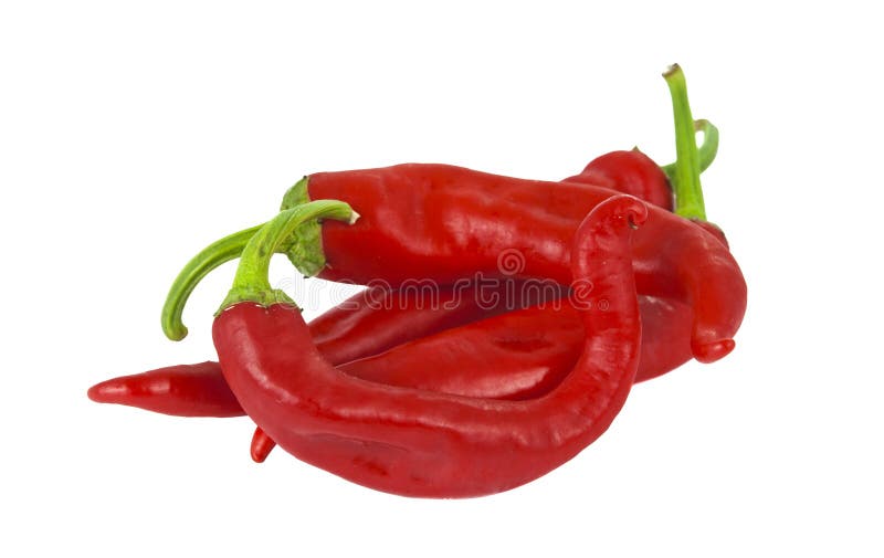 Chili pepper isolated