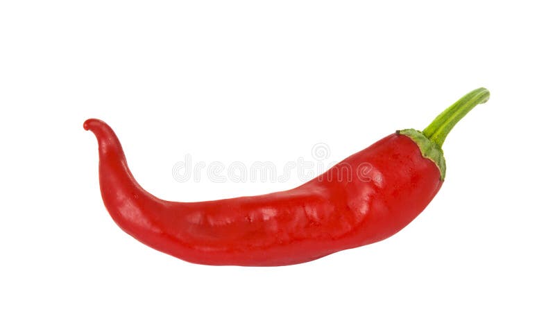 Chili pepper isolated