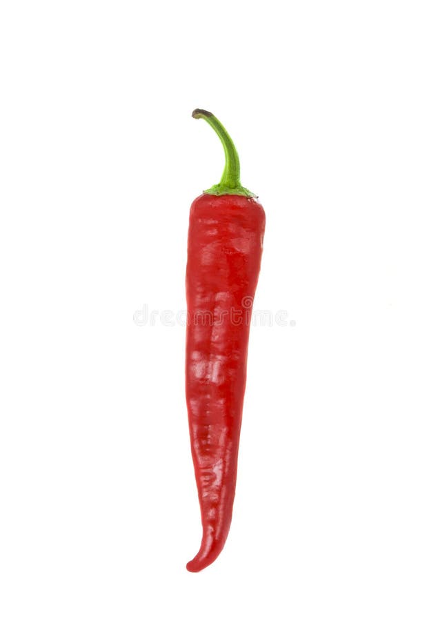 Chili pepper isolated