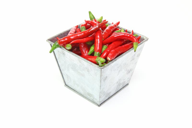 Chili pepper in a tin can stock photo. Image of condiment 80283622