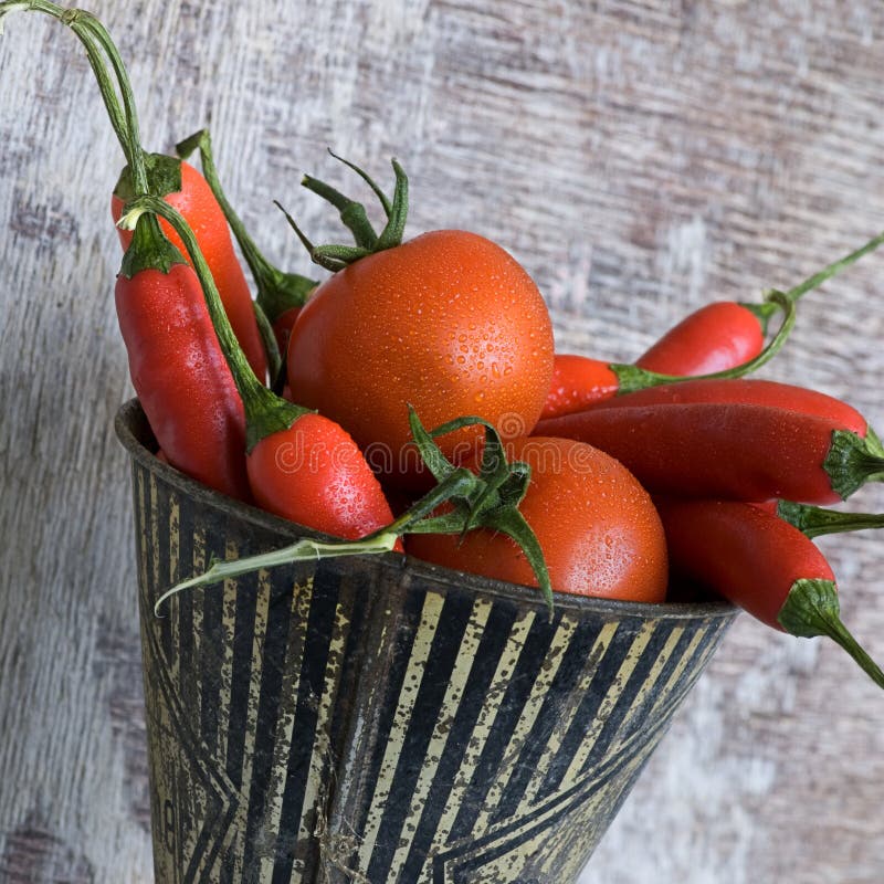 Chili pepper and tomato stock image. Image of vegetable 13431561