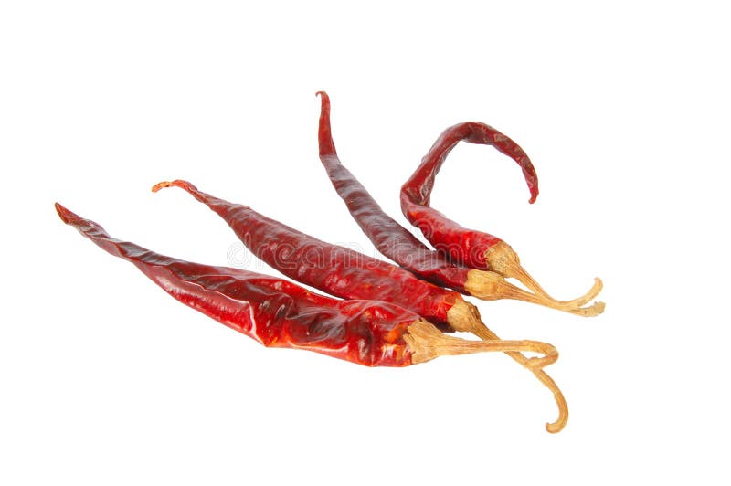 Chili peppers stock photo. Image of thai, shrivel, taste 1308094