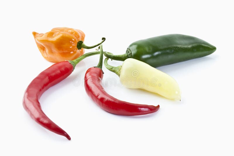 Chili peppers stock photo. Image of flavor, cuisine, entire 20789532