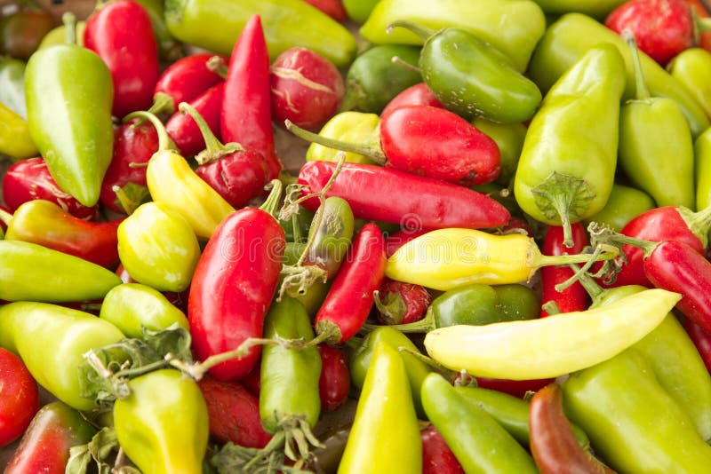 Chili Peppers stock photo. Image of vegetable, chili 26021398