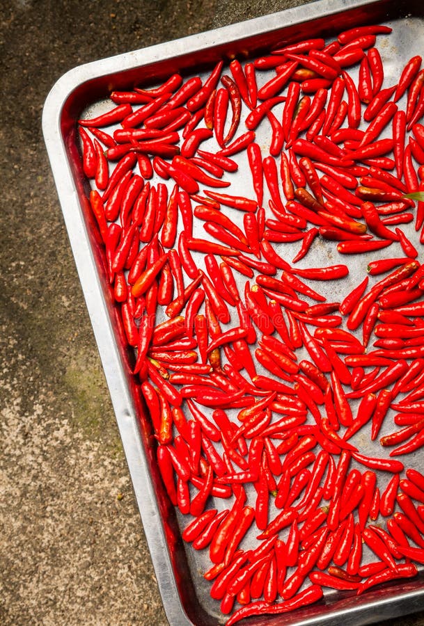 Chili peppers drying stock image. Image of vietnamese 38460823
