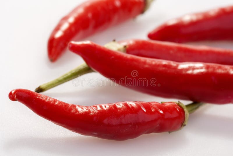 Chili peppers stock image. Image of peppers, nature, food 33217239