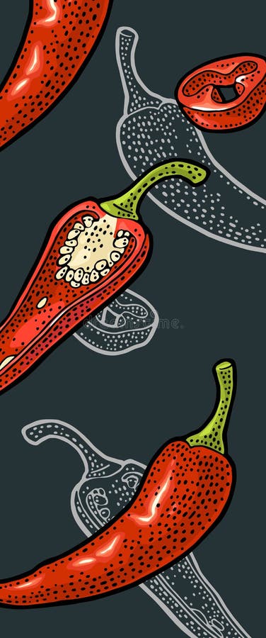 Chili întreaga jumătate și felie. gravare vintage vector stock illustration