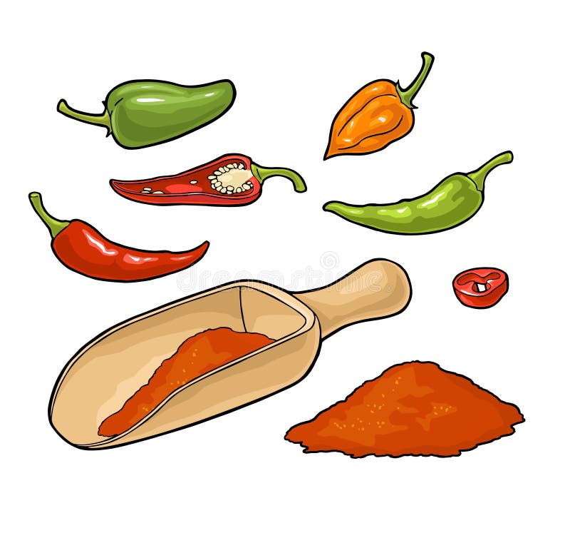 Chili. chili întreaga jumătate și felie. vintage vector royalty free illustration