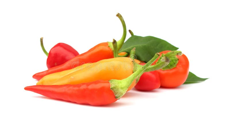 Chilien pepprar paprika